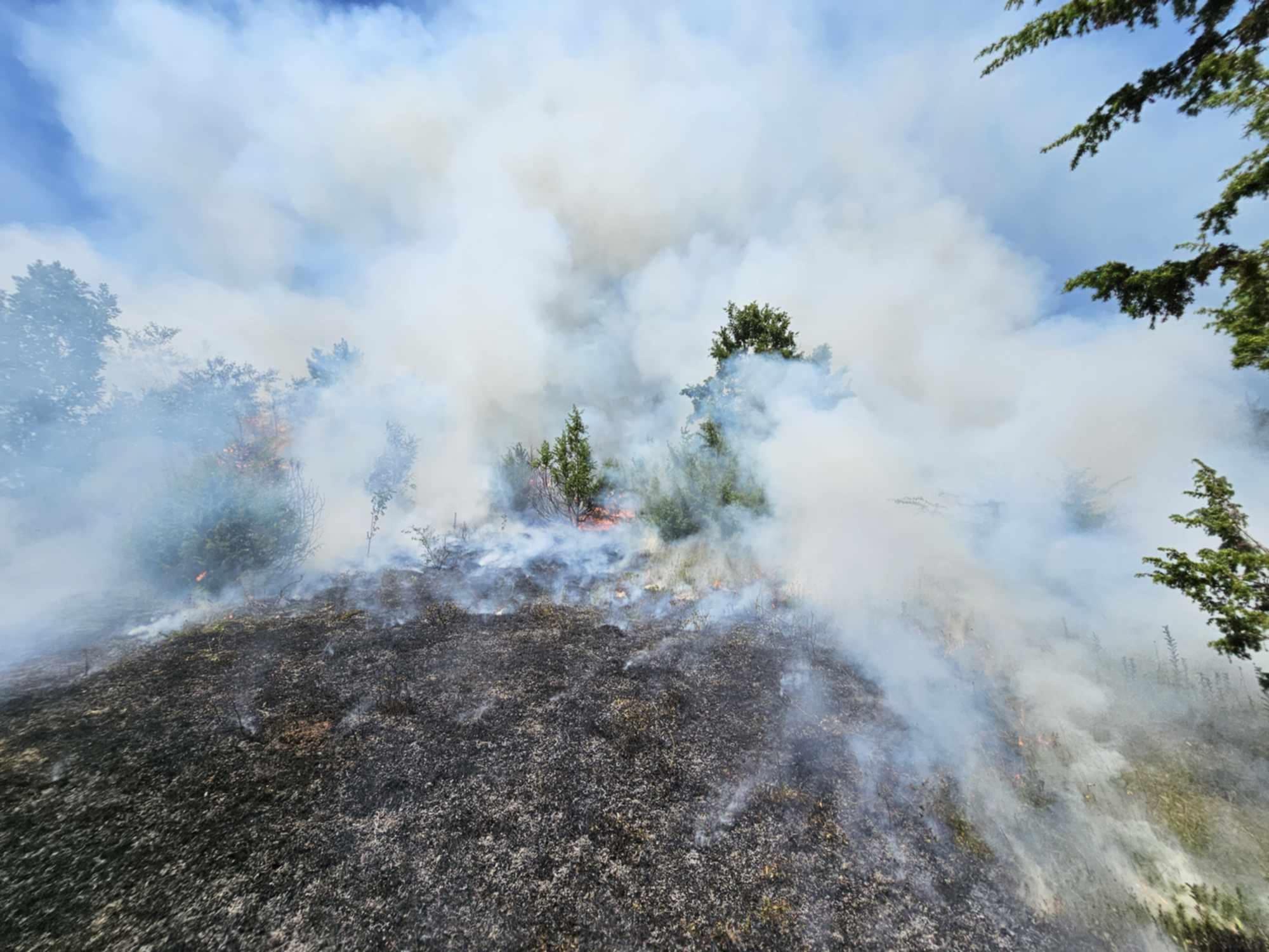Marrë parasysh temperaturat e larta gjatë këtyre ditëve dhe mungesës së kujdesit të nevojshëm nga njeriu, janë shpeshtuar rastet e zjarreve në komunën tonë