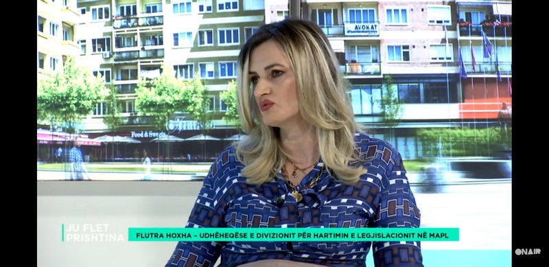 Funkcionisanje lokalnih saveta u opštini Priština