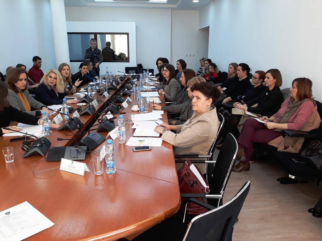 Представници МАЛС-а учествовали на јавној расправи скупштинског Одбора за људска права, родну равноправност, нестала лица и петиције Скупштине Републике Косово